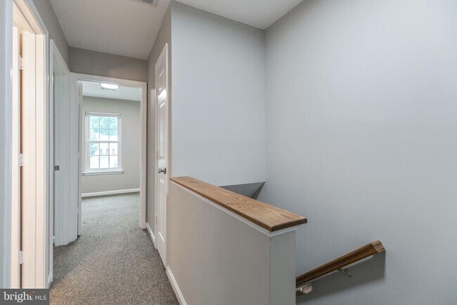 Building Photo - 1043 Downing Ct