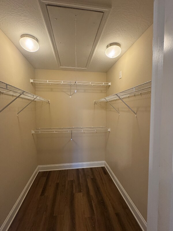 Building Photo - 109 Dry Branch Ct