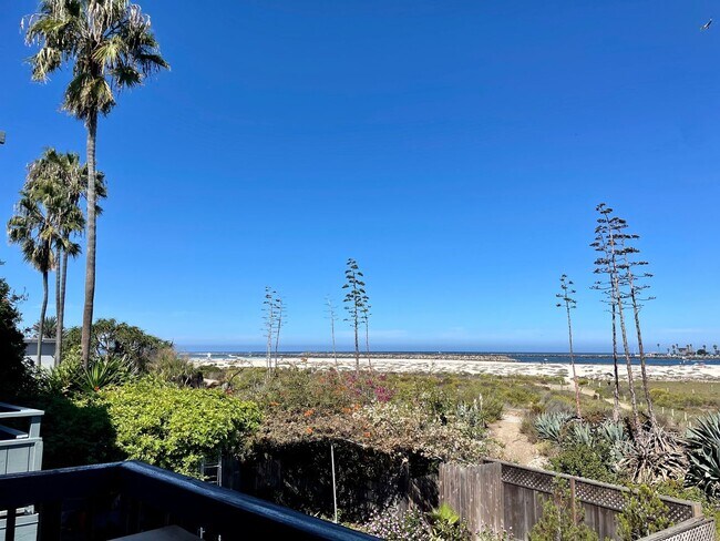 Building Photo - Furnished Beach front House in OB One Month Minimum Rental