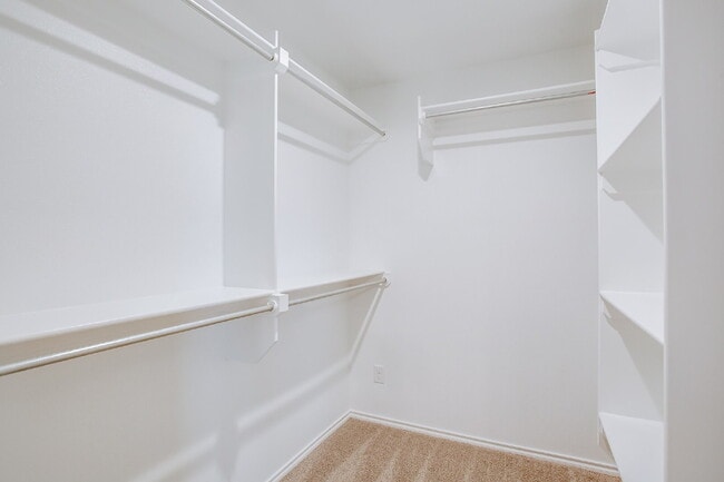 Building Photo - Beautiful 3/2/2 in Bell Farms