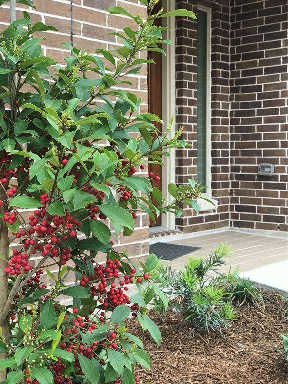 Building Photo - 11519 Main Cypress Dr