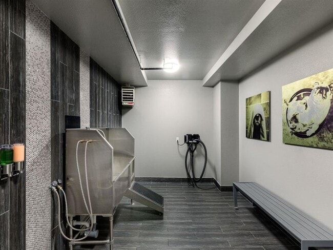 Interior Photo - Lyra on McKinney