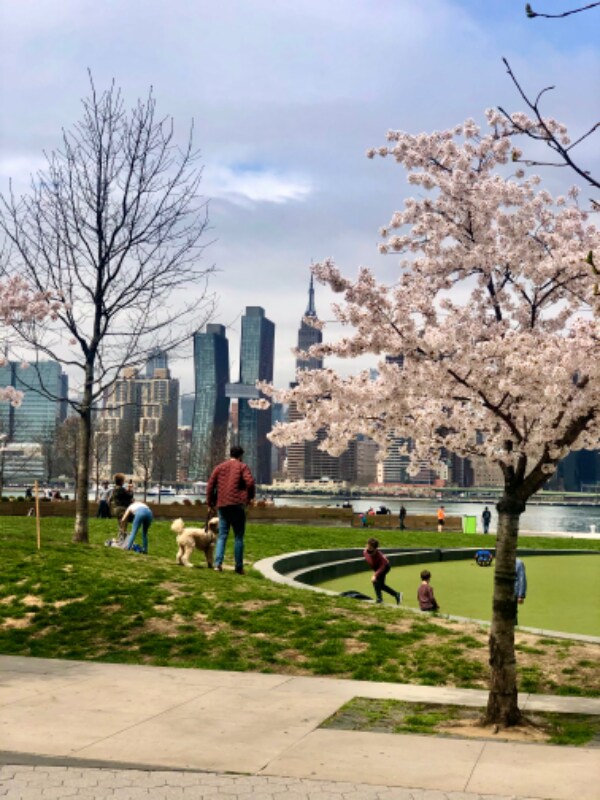 Building Photo - 52 - 10 Center Blvd