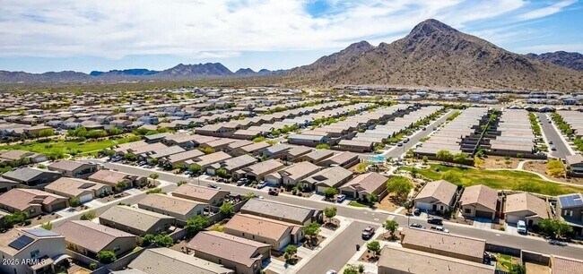 Building Photo - 4269 W Coneflower Ln