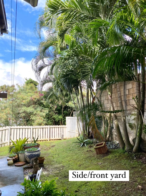 Building Photo - 1959 Puowaina Dr