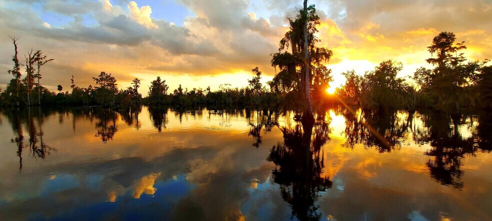 Building Photo - 3610 Conwick Dr