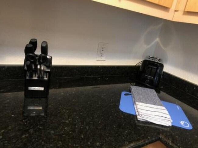 Building Photo - Meridian - Luxury 1Bdr/Bath Fully Furnished (Utilities Included)