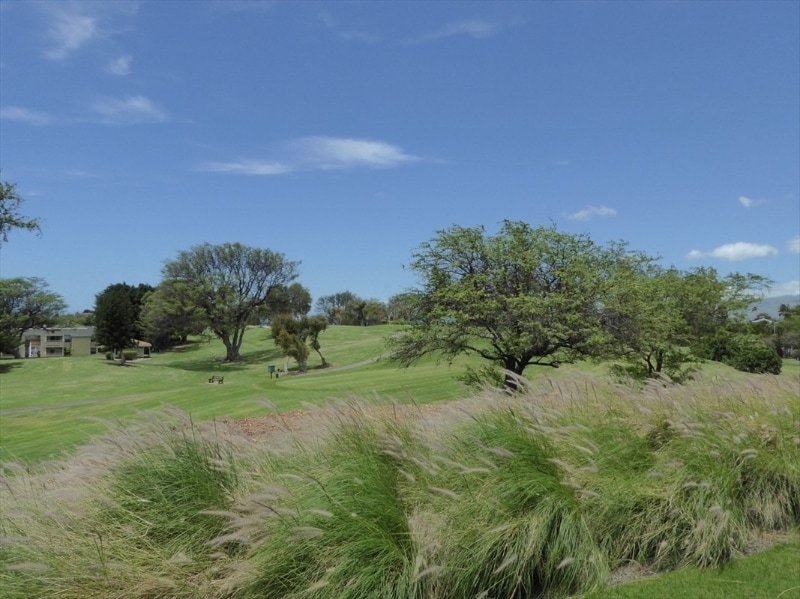 Building Photo - 68-3868-3868 Paniolo Ave