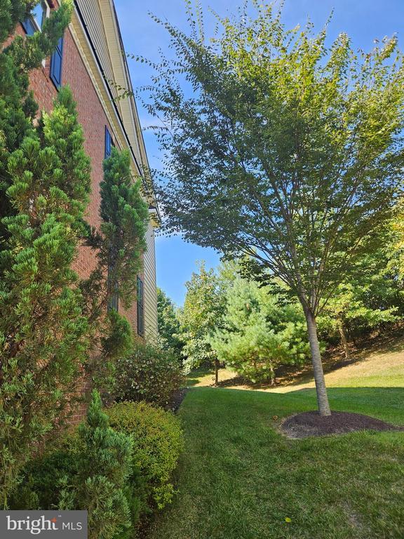 Building Photo - 922 Magnolia Blossom Ct
