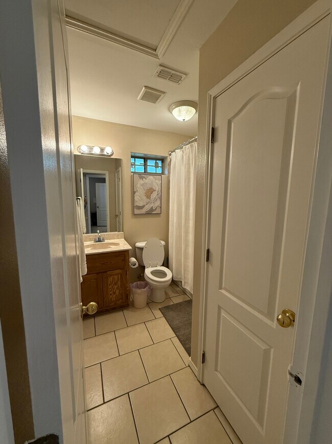 Unit D: Guest Bathroom - 302 W Amy Dr
