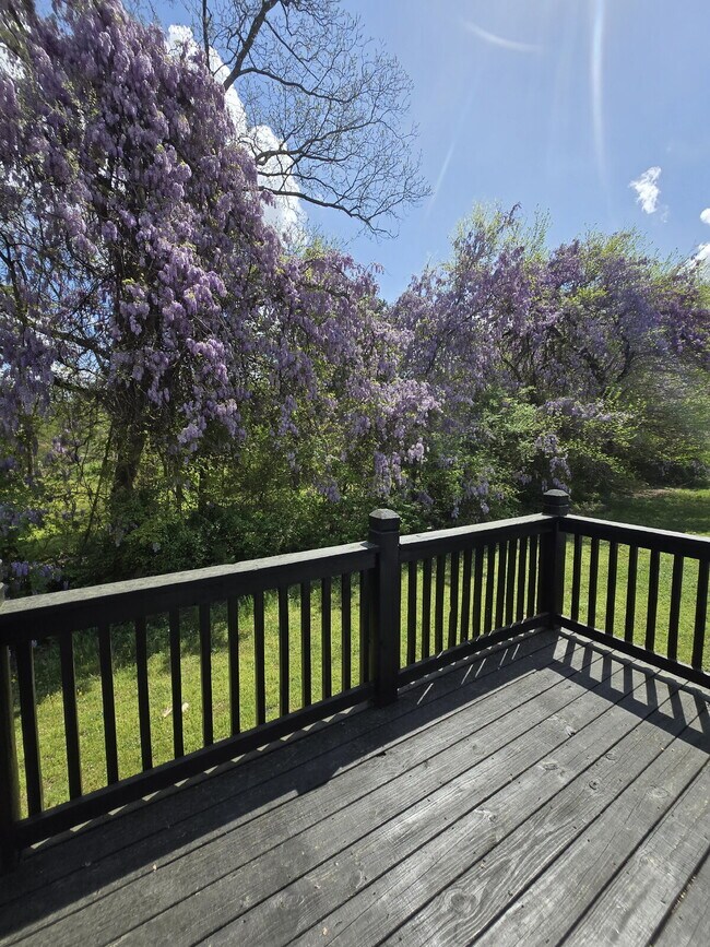 Building Photo - Oversized ONE Bedroom *HALF OFF YOUR FIRST MONTH*