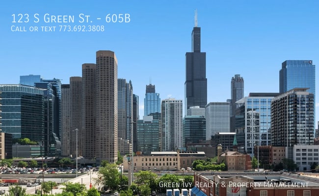 Building Photo - Beautiful West Loop Condo for Rent with Br...