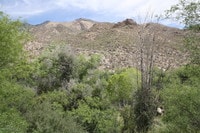 Building Photo - 6655 N Canyon Crest Dr
