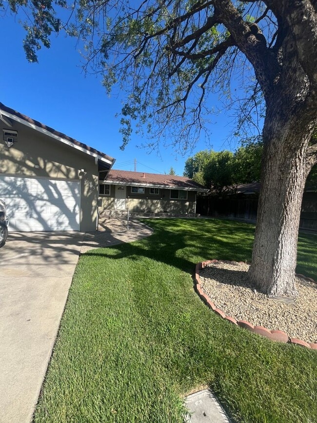 Building Photo - Beautiful 3 Bed 2 bath Home with Spacious backyard!