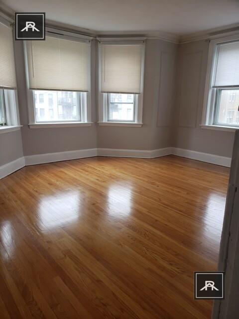 Building Photo - 2 bedroom in Brighton MA 02135