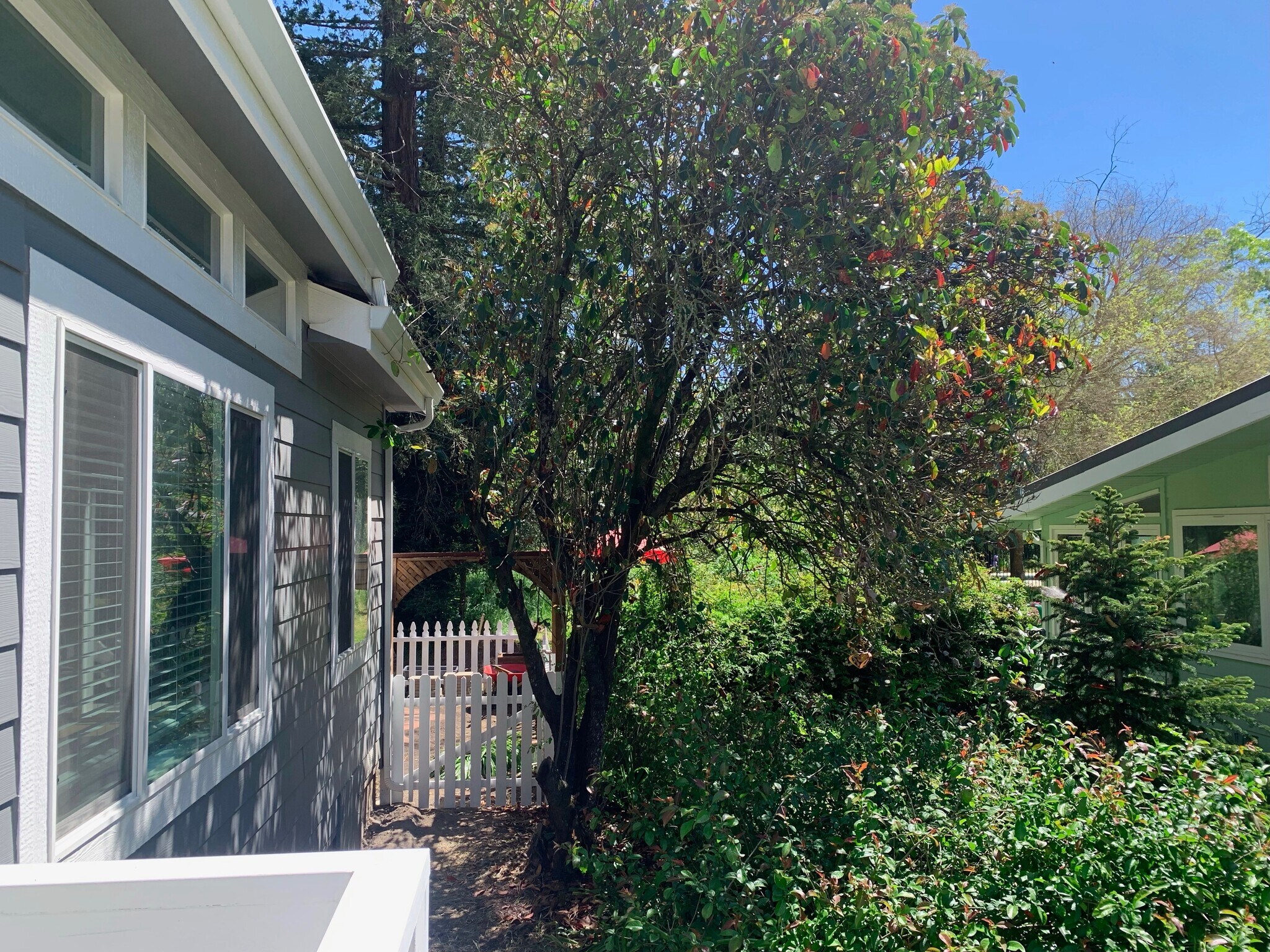 Building Photo - 412 Boas Dr