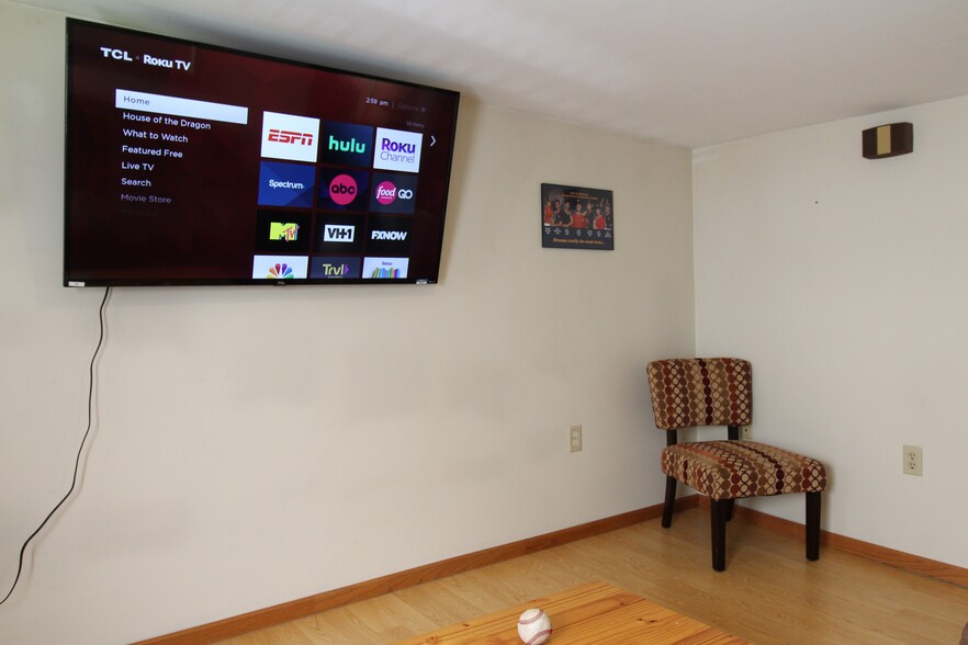 50" (or larger) smart Roku TV in living room - 119 Chestnut St