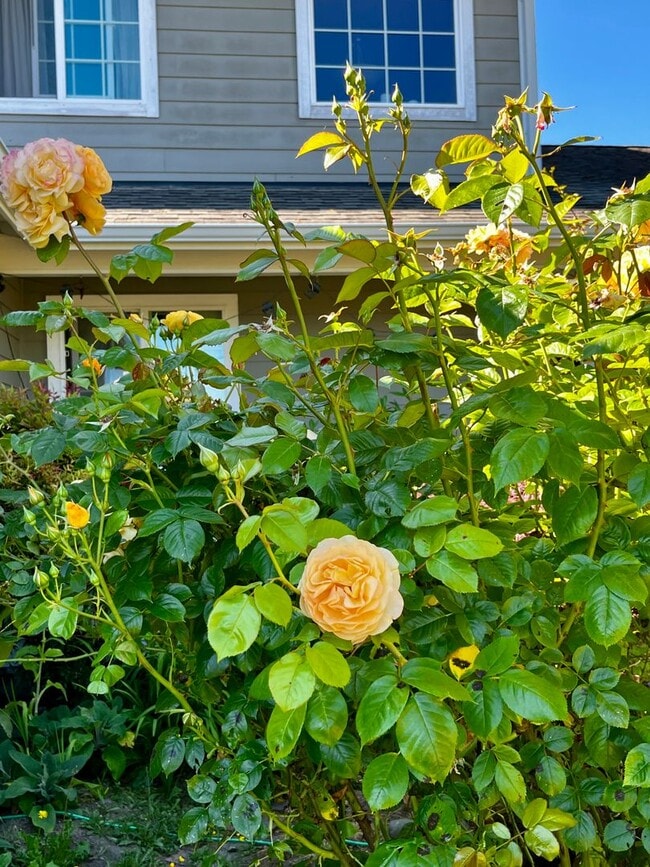 Building Photo - Peaceful Hansville Home with Plenty of Room