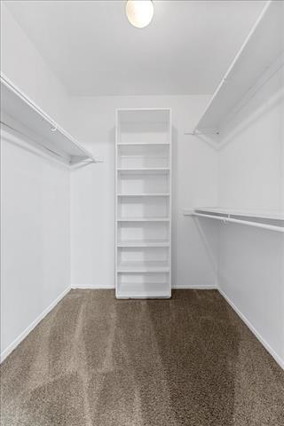 Building Photo - 4859 Cedar Springs Rd