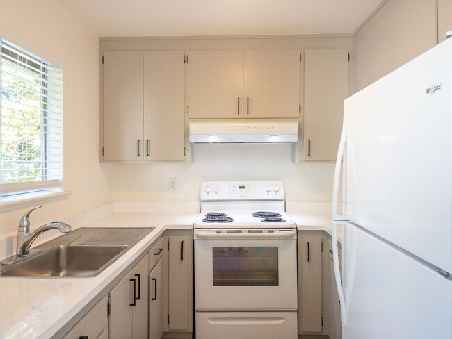 Building Photo - BRIGHT Remodeled Downtown 1BR/1BA Flat! Pa...