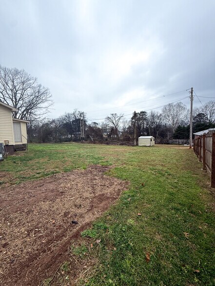 Back Yard - 517 Woodward Ave