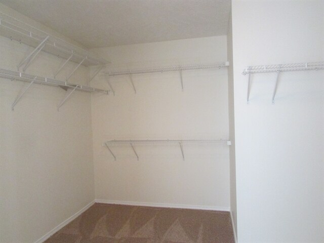 Building Photo - 2651 Sutherland Dr