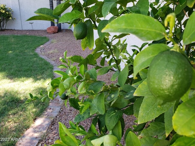 Building Photo - 20222 N 61st Ave