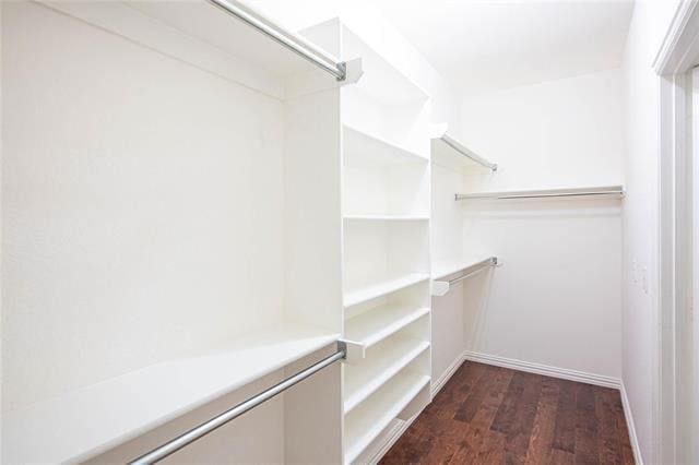 Building Photo - 1029 Janus Dr