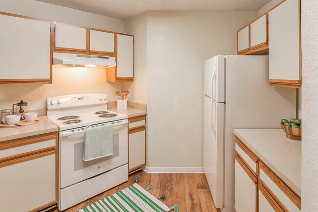 Interior Photo - Conway Forest