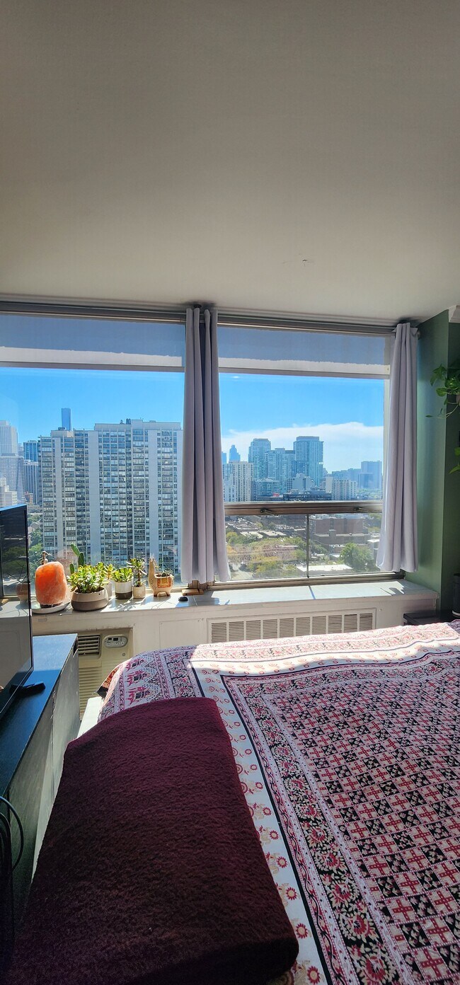 Building Photo - 1460 N Sandburg Terrace