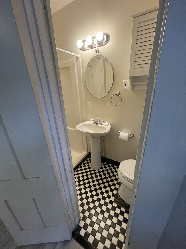 Mstr Bath - 17 Whitmore St