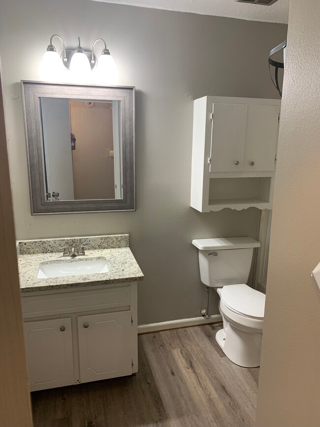Guest bathroom - new granite counter top, new sink/faucet, new lighting, and mirror. - 203 Club Ln