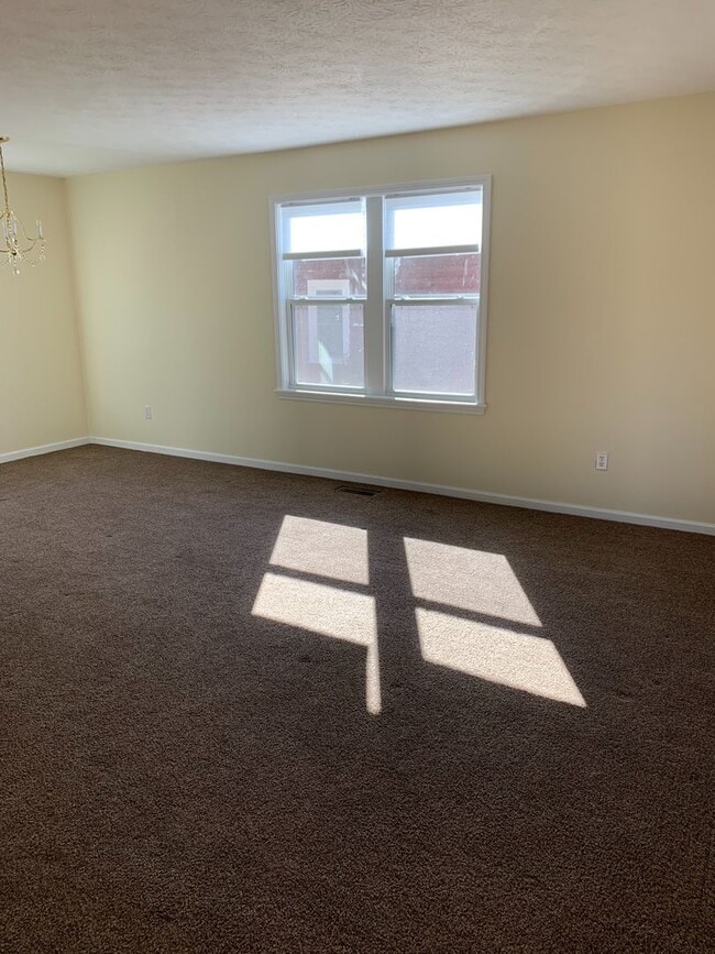 Building Photo - Bayless Street Downtown One Bedroom