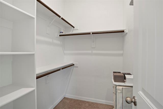 Building Photo - 3213 Greymoore Dr