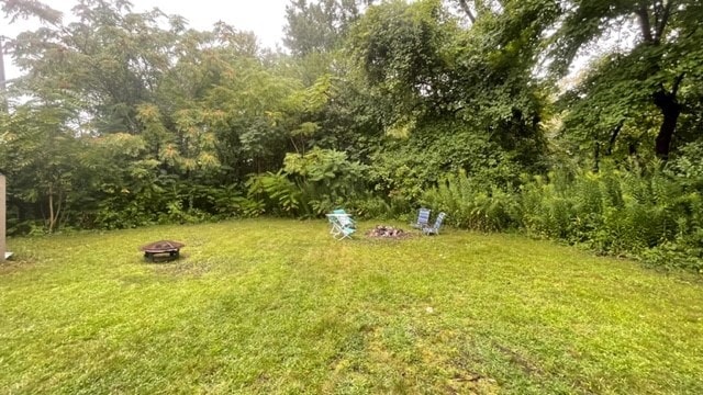 Quiet backyard - 64 Blanchard Rd