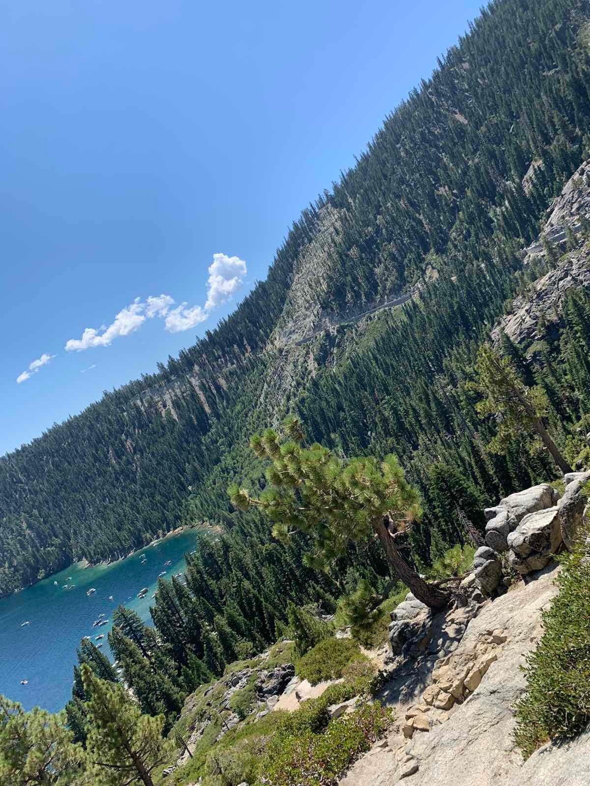 Building Photo - 1223 Bonanza Ave