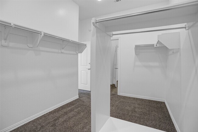Building Photo - 2718 Ripe Amber Cup Ct