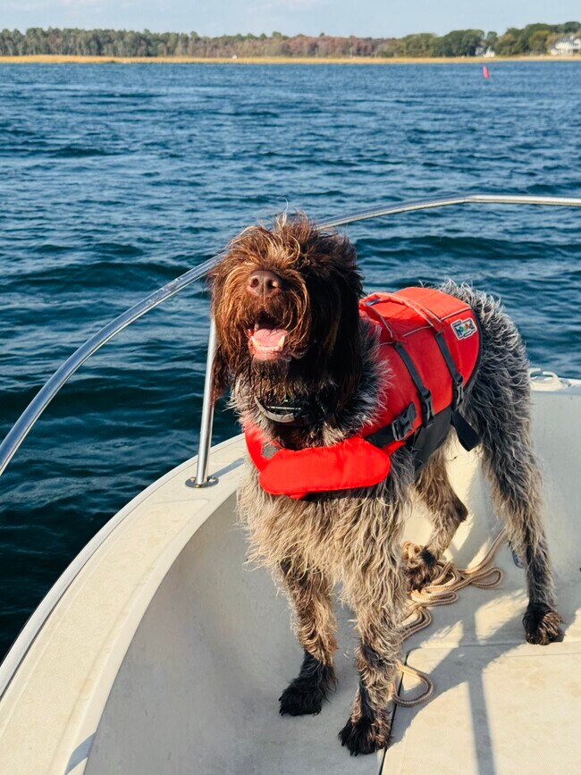 Building Photo - 17 Storer St