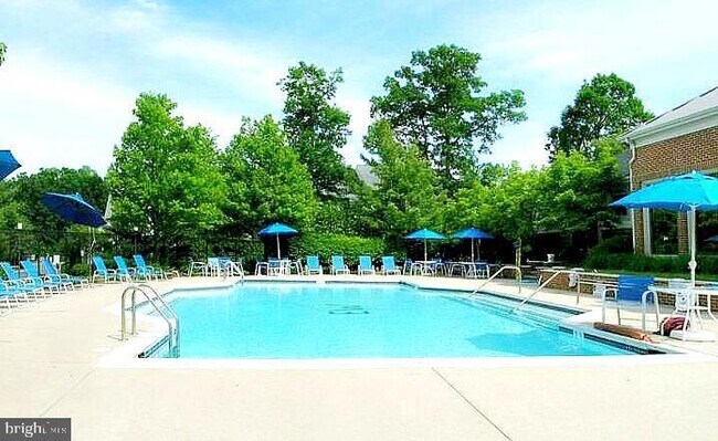 Building Photo - 1701 Lake Shore Crest Dr