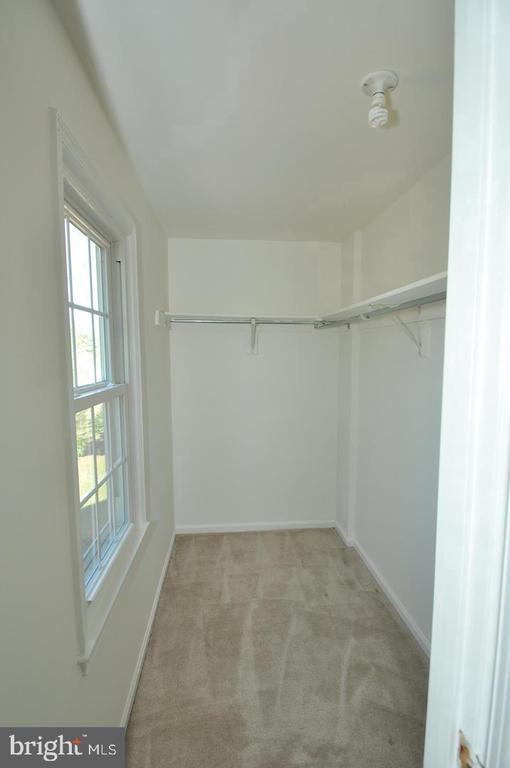 Building Photo - 4301 Scotch Meadow Ct
