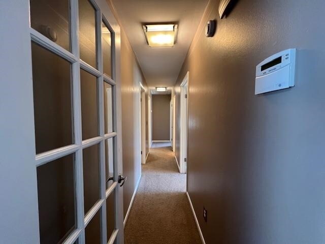 Building Photo - 2537 Stonegate Dr