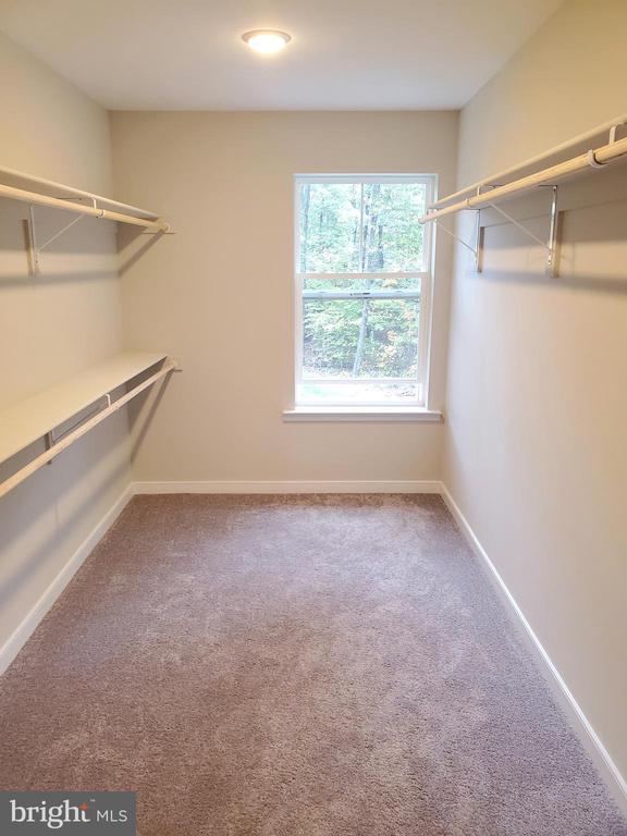 Building Photo - 142 Little Whim Rd