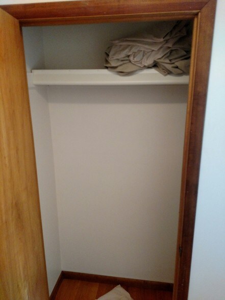 Closet - 102 Spring St