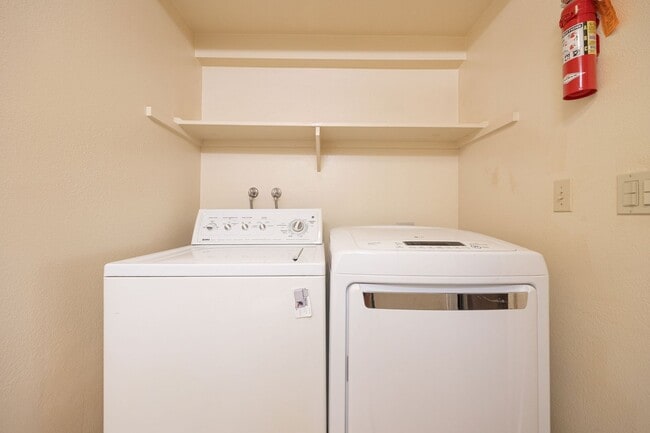 Building Photo - Beautiful large (914 sq feet) 1 bedroom no...
