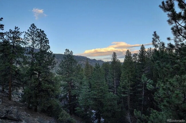 Building Photo - Mountain Log Home for Rent with views and ...