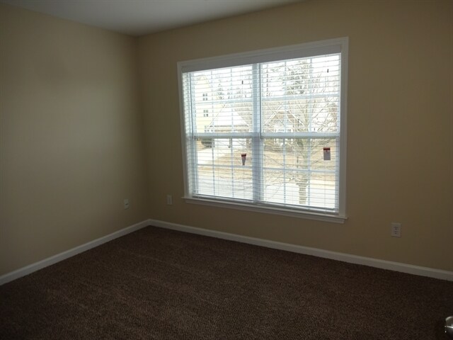 Building Photo - 5235 Fieldgate Ridge Dr