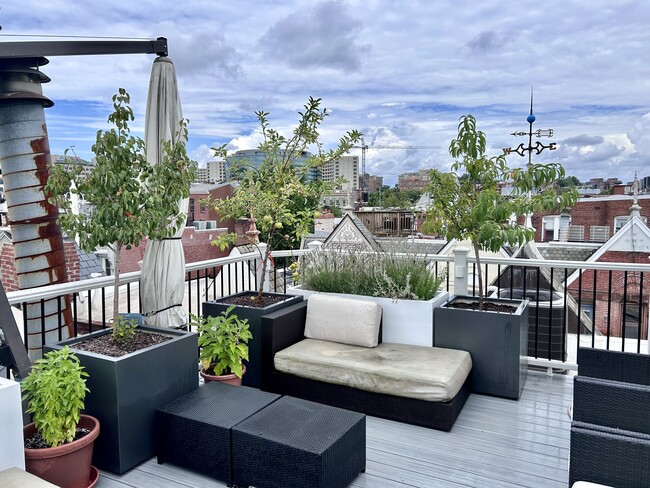 Rooftop terrace - 1808 Riggs Pl NW