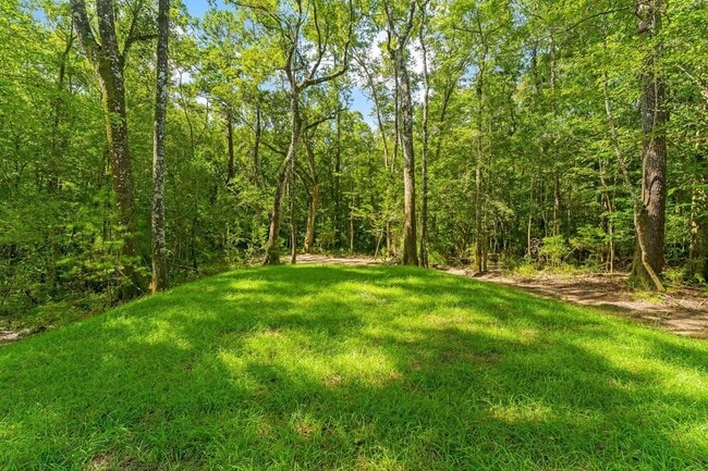 Building Photo - 493 Choctawhatchee River Rd