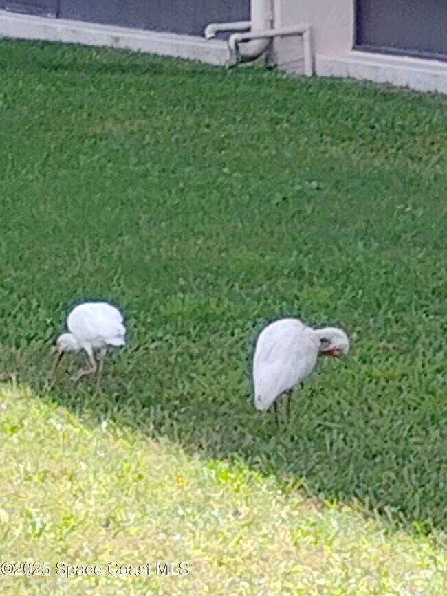 Building Photo - 200 S Banana River Blvd