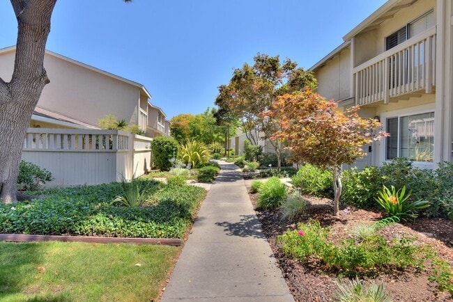 Building Photo - 1225 Picasso Dr